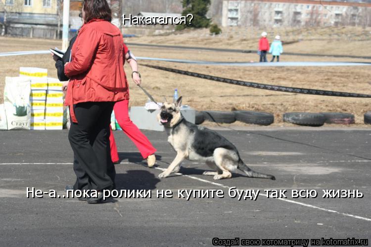 Накатался? Не-а..пока ролики не купите буду так всю жизнь... Котоматрица: Накатался? Не-а..пока ролики не купите буду так всю жизнь