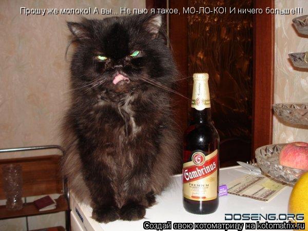 Прошу же молоко! А вы... Не пью я такое, МО-ЛО-КО! И ничего больше!!!... Котоматрица: Прошу же молоко! А вы... Не пью я такое, МО-ЛО-КО! И ничего больше!!!