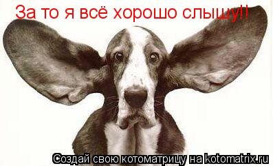 За то я всё хорошо слышу!!... Котоматрица: За то я всё хорошо слышу!!