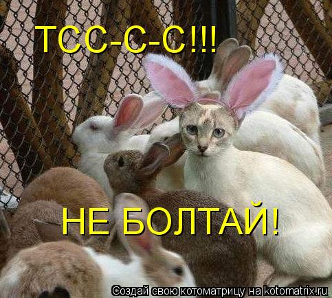 НЕ БОЛТАЙ! ТСС-С-С!!!... Котоматрица: НЕ БОЛТАЙ! ТСС-С-С!!!