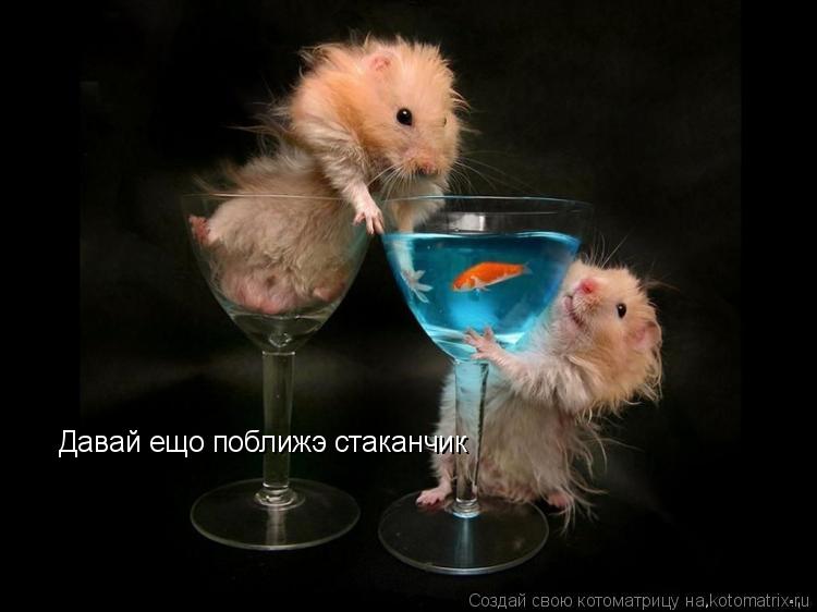Давай ещо поближэ стаканчик... Котоматрица: Давай ещо поближэ стаканчик