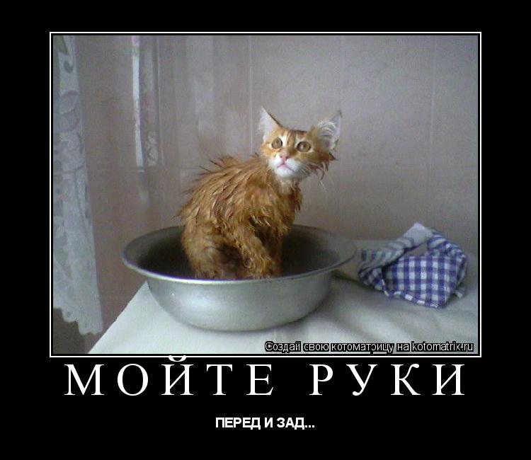 Котоматрица: МОЙТЕ РУКИ ПЕРЕД И ЗАД...