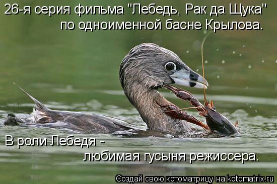 Котоматрица: В роли Лебедя -  любимая гусыня режиссера. по одноименной басне Крылова. 26-я серия фильма "Лебедь, Рак да Щука"