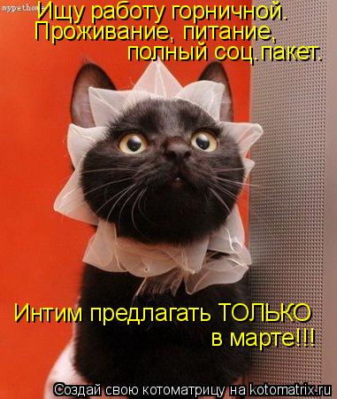 Ищу работу горничной. Проживание, питание, полный соц.пакет. Интим предлагать ТОЛЬКО в марте!!!... Котоматрица: Ищу работу горничной. Проживание, питание, полный соц.пакет. Интим предлагать ТОЛЬКО в марте!!!