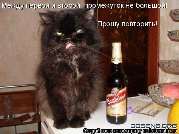 Между первой и второй, промежуток не большой! Прошу повторить!... Котоматрица: Между первой и второй, промежуток не большой! Прошу повторить!