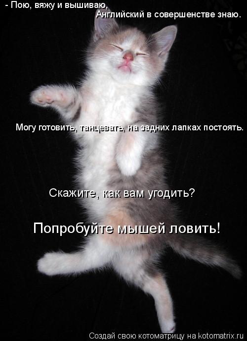 Скажите, как вам угодить? - Пою, вяжу и вышиваю, Английский в совершенстве знаю. Могу готовить, танц... Котоматрица: Скажите, как вам угодить? - Пою, вяжу и вышиваю, Английский в совершенстве знаю. Могу готовить, танцевать, на задних лапках постоять. Попробу