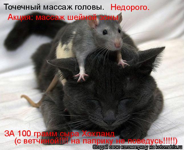 Точечный массаж головы. Недорого. Акция: массаж шейной зоны ЗА 100 грамм сыра Хохланд (с ветчиной!!!!... Котоматрица: Точечный массаж головы. Недорого. Акция: массаж шейной зоны ЗА 100 грамм сыра Хохланд (с ветчиной!!!! на паприку не поведусь!!!!!)
