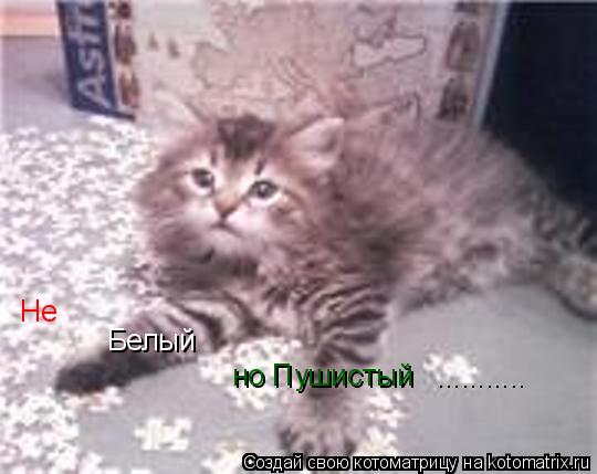 Котоматрица: Не Белый но Пушистый ...........