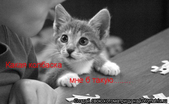 Котоматрица: Какая колбаска мне б такую........