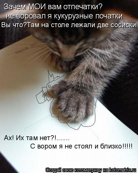 Котоматрица: Зачем МОИ вам отпечатки? не воровал я кукурузные початки Вы что?Там на столе лежали две сосиски! С вором я не стоял и близко!!!!! Ах! Их там нет?!