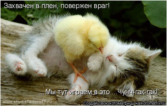 Захвачен в плен, повержен враг! ...Мы тут играем в это ...Чунч-гак-гак!... Котоматрица: Захвачен в плен, повержен враг! ...Мы тут играем в это ...Чунч-гак-гак!