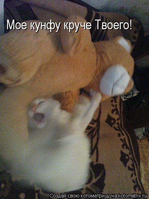 Котоматрица: Мое кунфу круче Твоего!