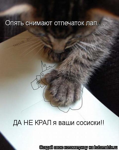 Котоматрица: Опять снимают отпечаток лап..... ДА НЕ КРАЛ я ваши сосиски!!