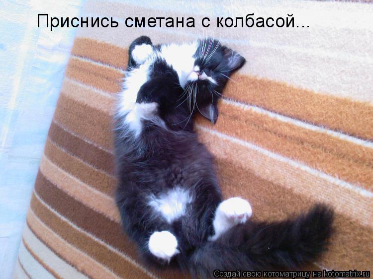 Котоматрица: Приснись сметана с колбасой...