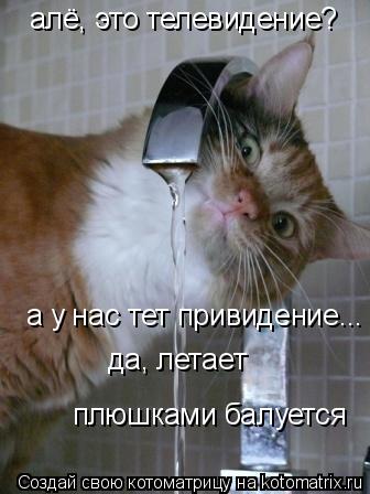 алё, это телевидение? а у нас тет привидение... плюшками балуется да, летает... Котоматрица: алё, это телевидение? а у нас тет привидение... плюшками балуется да, летает