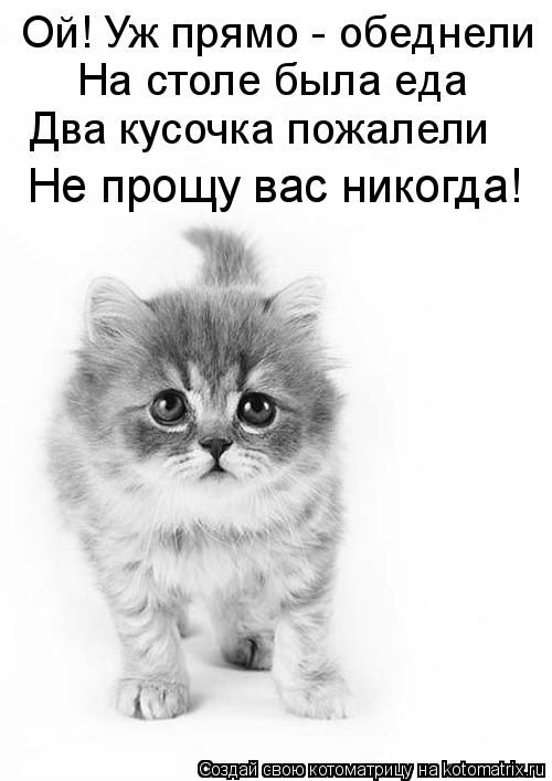 На столе была еда Два кусочка пожалели Не прощу вас никогда! Ой! Уж прямо - обеднели... Котоматрица: На столе была еда Два кусочка пожалели Не прощу вас никогда! Ой! Уж прямо - обеднели