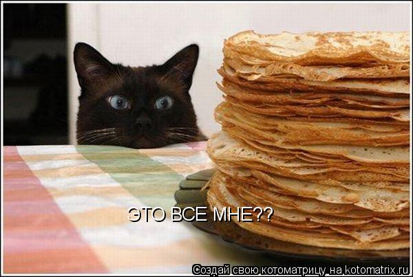 ЭТО ВСЕ МНЕ??... Котоматрица: ЭТО ВСЕ МНЕ??