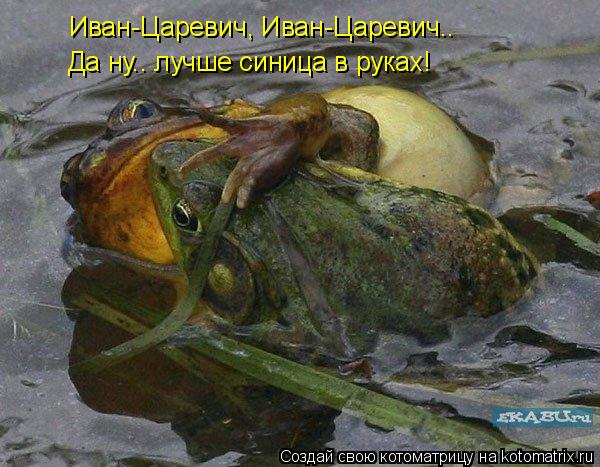 Иван-Царевич, Иван-Царевич.. Да ну.. лучше синица в руках!... Котоматрица: Иван-Царевич, Иван-Царевич.. Да ну.. лучше синица в руках!