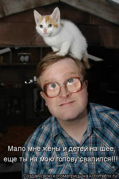 Мало мне жены и детей на шее, еще ты на мою голову свалился!!!... Котоматрица: Мало мне жены и детей на шее, еще ты на мою голову свалился!!!