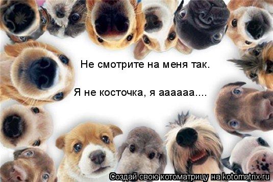 Не смотрите на меня так. Я не косточка, я аааааа....... Котоматрица: Не смотрите на меня так. Я не косточка, я аааааа....