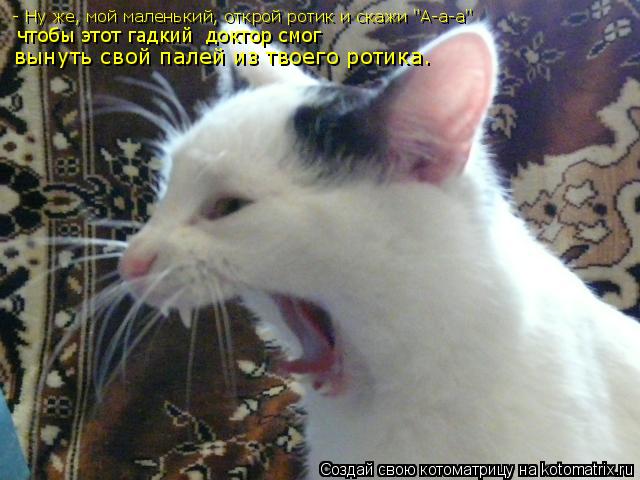 Котоматрица: - Ну же, мой маленький, открой ротик и скажи "А-а-а" чтобы этот гадкий  доктор смог вынуть свой палей из твоего ротика.
