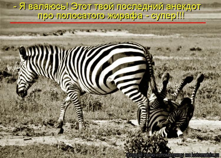 Котоматрица: - Я валяюсь! Этот твой последний анекдот  про полосатого жирафа - супер!!! _____________________________________