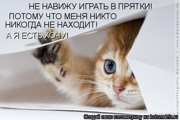 Котоматрица: НЕ НАВИЖУ ИГРАТЬ В ПРЯТКИ! ПОТОМУ ЧТО МЕНЯ НИКТО  НИКОГДА НЕ НАХОДИТ! А Я ЕСТЬ ХОЧУ!
