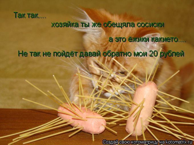 Котоматрица: Так так....  хозяйка ты же обещяла сосиски а это ёжики какието.... Не так не пойдёт давай обратно мои 20 рублей