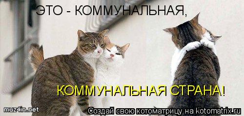 Котоматрица: ЭТО - КОММУНАЛЬНАЯ, КОММУНАЛЬНАЯ СТРАНА!