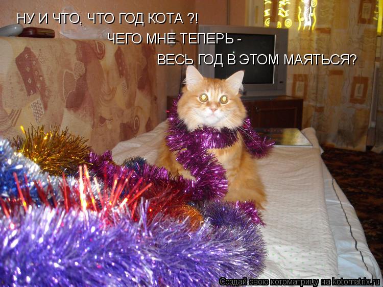 НУ И ЧТО, ЧТО ГОД КОТА ?! ЧЕГО МНЕ ТЕПЕРЬ - ВЕСЬ ГОД В ЭТОМ МАЯТЬСЯ?... Котоматрица: НУ И ЧТО, ЧТО ГОД КОТА ?! ЧЕГО МНЕ ТЕПЕРЬ - ВЕСЬ ГОД В ЭТОМ МАЯТЬСЯ?