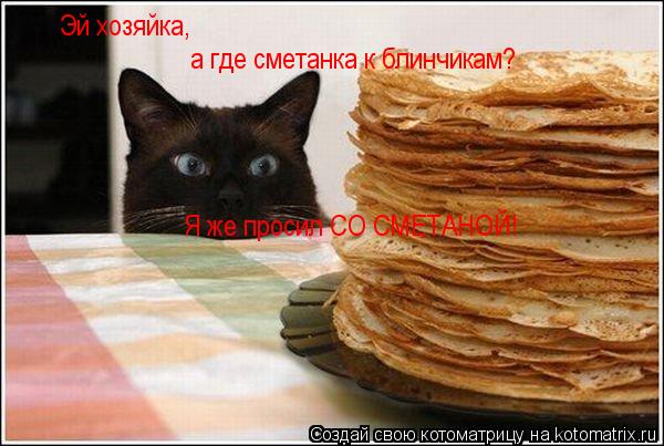 Эй хозяйка, а где сметанка к блинчикам? Я же просил СО СМЕТАНОЙ!... Котоматрица: Эй хозяйка, а где сметанка к блинчикам? Я же просил СО СМЕТАНОЙ!