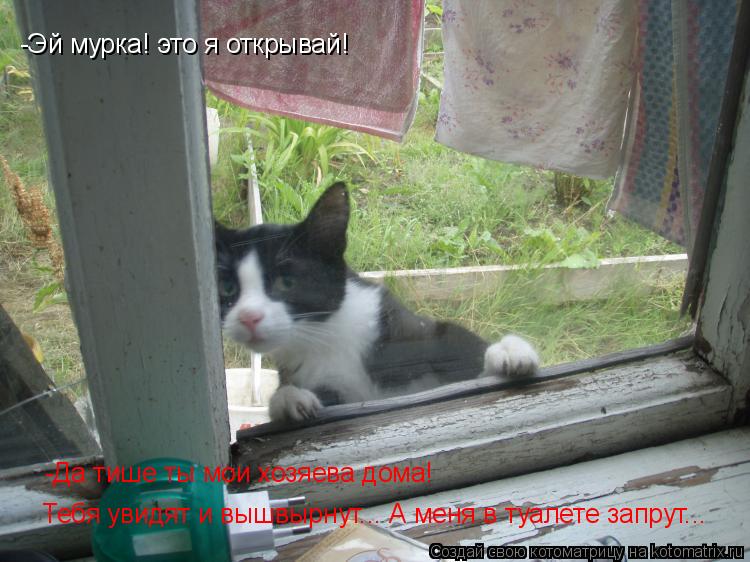 -Эй мурка! это я открывай! -Да тише ты мои хозяева дома! Тебя увидят и вышвырнут... А меня в туалете ... Котоматрица: -Эй мурка! это я открывай! -Да тише ты мои хозяева дома! Тебя увидят и вышвырнут... А меня в туалете запрут...