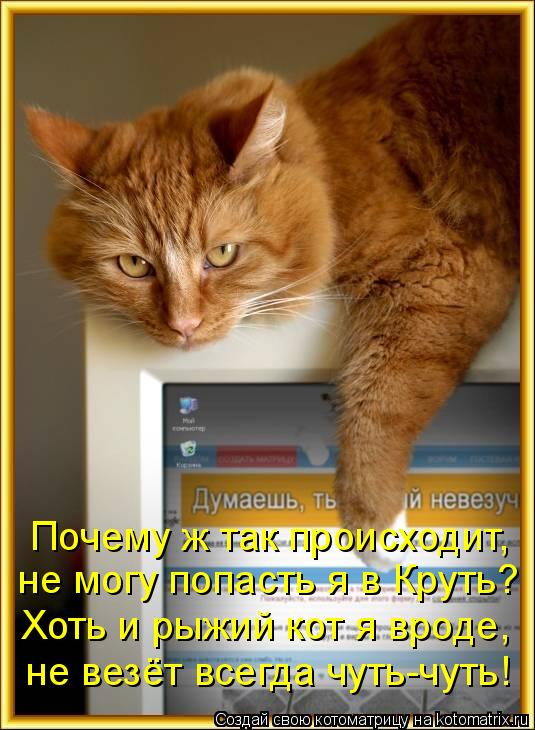 Почему ж так происходит, не могу попасть я в Круть? Хоть и рыжий кот я вроде, не везёт всегда чуть-чу... Котоматрица: Почему ж так происходит, не могу попасть я в Круть? Хоть и рыжий кот я вроде, не везёт всегда чуть-чуть!