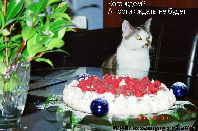 Кого ждем? А тортик ждать не будет!... Котоматрица: Кого ждем? А тортик ждать не будет!