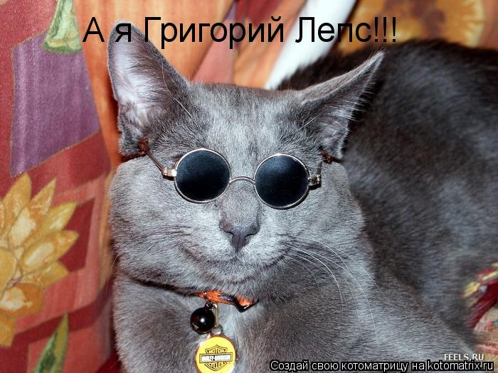 Котоматрица: А я Григорий Лепс!!!