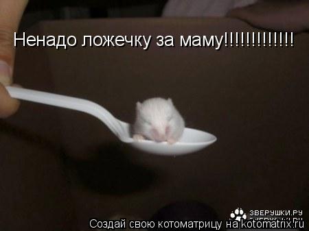 Котоматрица: Ненадо ложечку за маму!!!!!!!!!!!!!