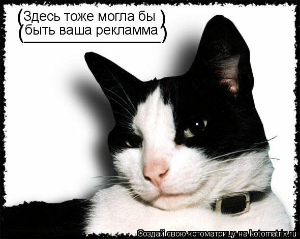 Котоматрица: Здесь тоже могла бы быть ваша рекламма (____________) ( )