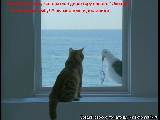 Котоматрица: Безобрази! Буду жаловаться директору вашего "Океана"! Я заказывал рыбу! А вы мне мышь доставили!