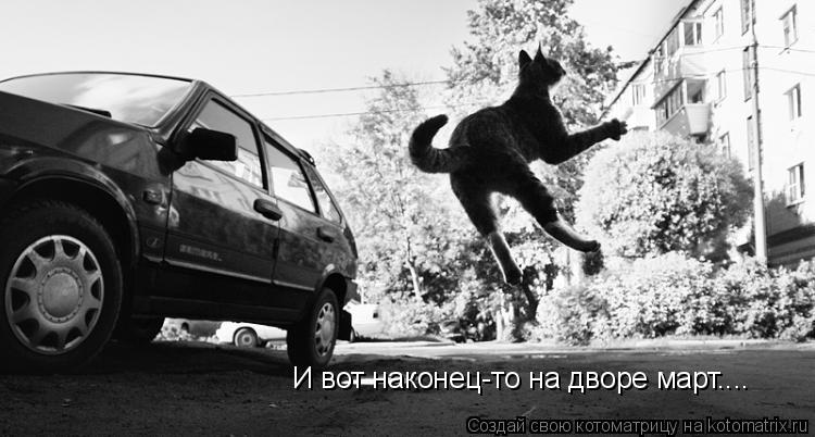 Котоматрица: И вот наконец-то на дворе март....