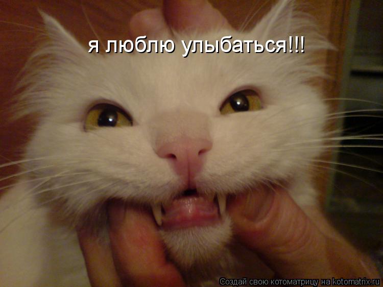 Котоматрица: я люблю улыбаться!!!
