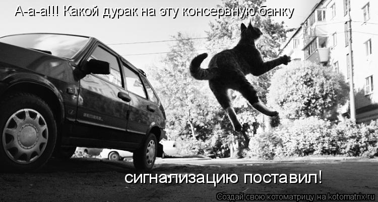 А-а-а!!! Какой дурак на эту консервную банку сигнализацию поставил!... Котоматрица: А-а-а!!! Какой дурак на эту консервную банку сигнализацию поставил!