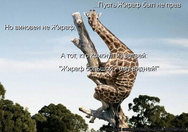 Котоматрица: ...Пусть Жираф был не прав  Но виновен не Жираф,  А тот, кто крикнул из ветвей:   "Жираф большой - ему видней!"