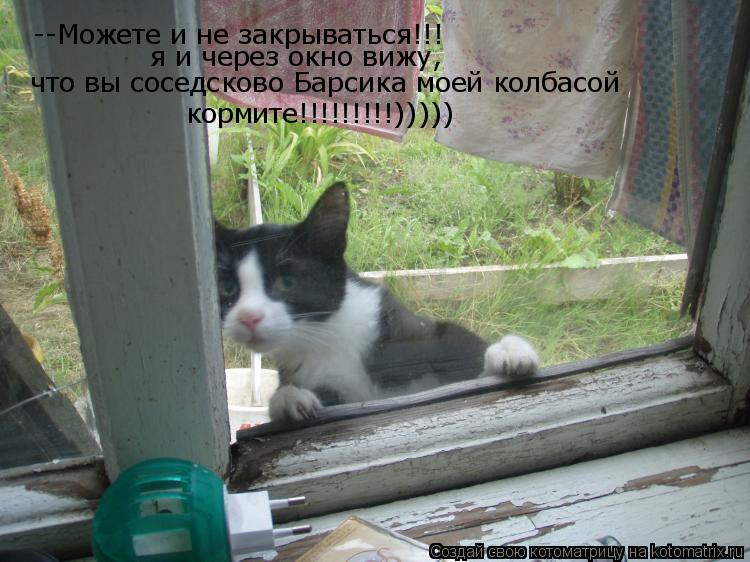 --Можете и не закрываться!!! я и через окно вижу, что вы соседсково Барсика моей колбасой кормите!!!!... Котоматрица: --Можете и не закрываться!!! я и через окно вижу, что вы соседсково Барсика моей колбасой кормите!!!!!!!!!)))))