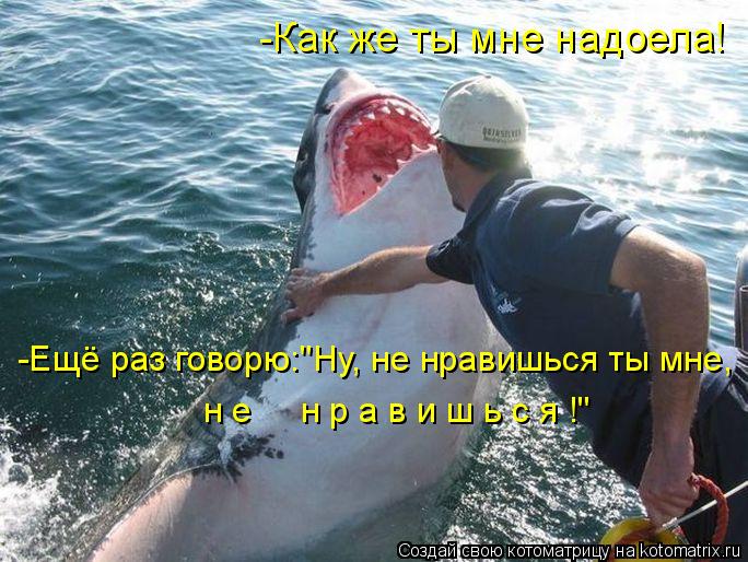 -Как же ты мне надоела! -Ещё раз говорю:"Ну, не нравишься ты мне, н е н р а в и ш ь с я !"... Котоматрица: -Как же ты мне надоела! -Ещё раз говорю:"Ну, не нравишься ты мне, н е н р а в и ш ь с я !"