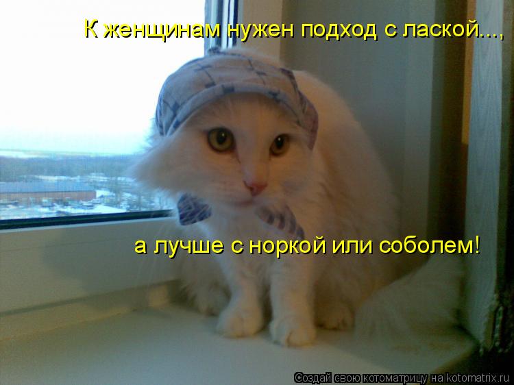 К женщинам нужен подход с лаской..., а лучше с норкой или соболем!... Котоматрица: К женщинам нужен подход с лаской..., а лучше с норкой или соболем!