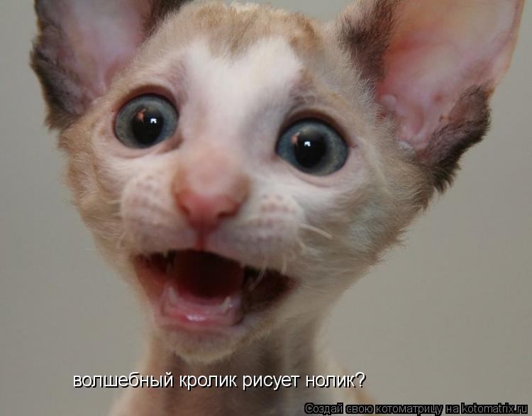 волшебный кролик рисует нолик?... Котоматрица: волшебный кролик рисует нолик?