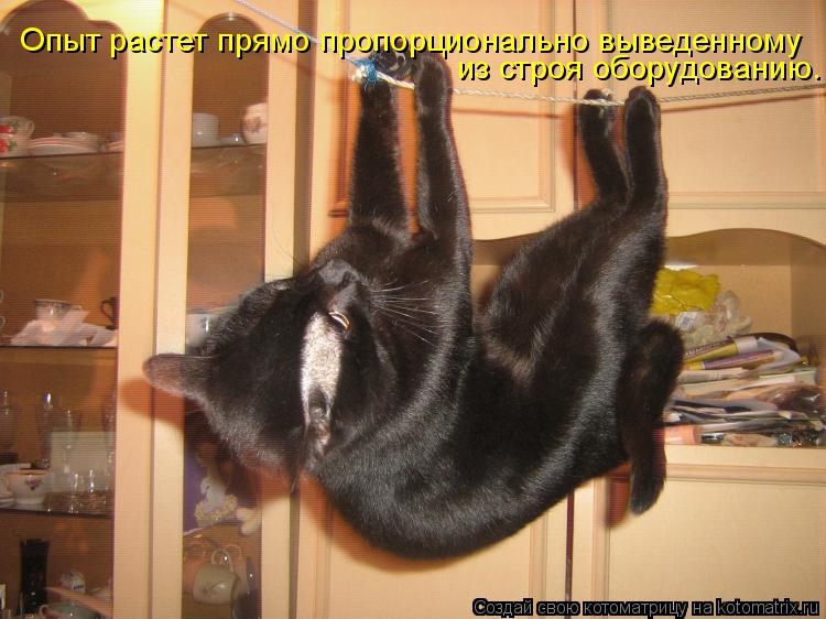 Опыт растет прямо пропорционально выведенному из строя оборудованию.... Котоматрица: Опыт растет прямо пропорционально выведенному из строя оборудованию.