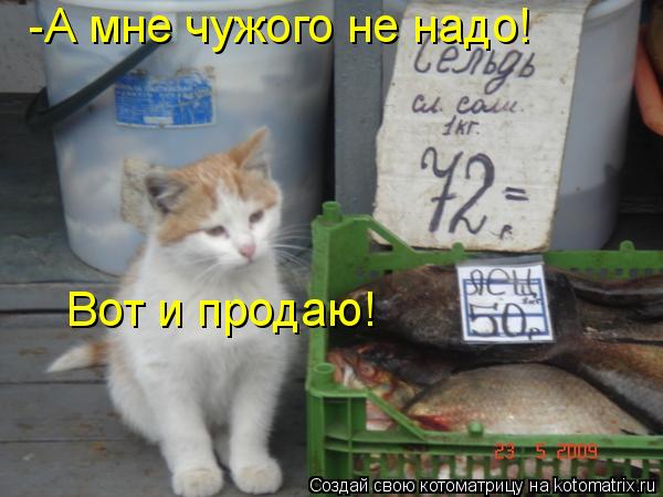 -А мне чужого не надо! Вот и продаю!... Котоматрица: -А мне чужого не надо! Вот и продаю!
