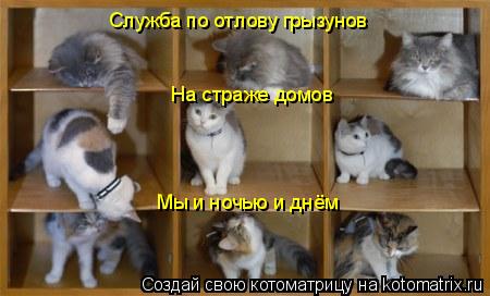Служба по отлову грызунов На страже домов Мы и ночью и днём... Котоматрица: Служба по отлову грызунов На страже домов Мы и ночью и днём