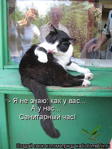 - Я не знаю: как у вас... А у нас... Санитарный час!... Котоматрица: - Я не знаю: как у вас... А у нас... Санитарный час!
